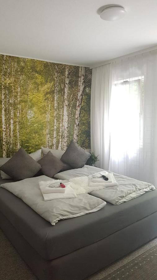 Pension Villa Pangea Bad Lauterberg Luaran gambar