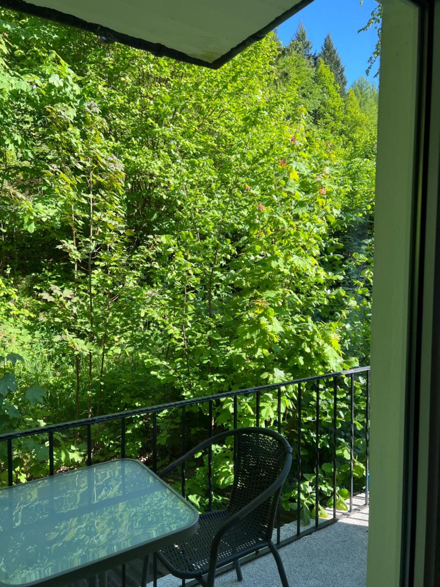 Pension Villa Pangea Bad Lauterberg Luaran gambar