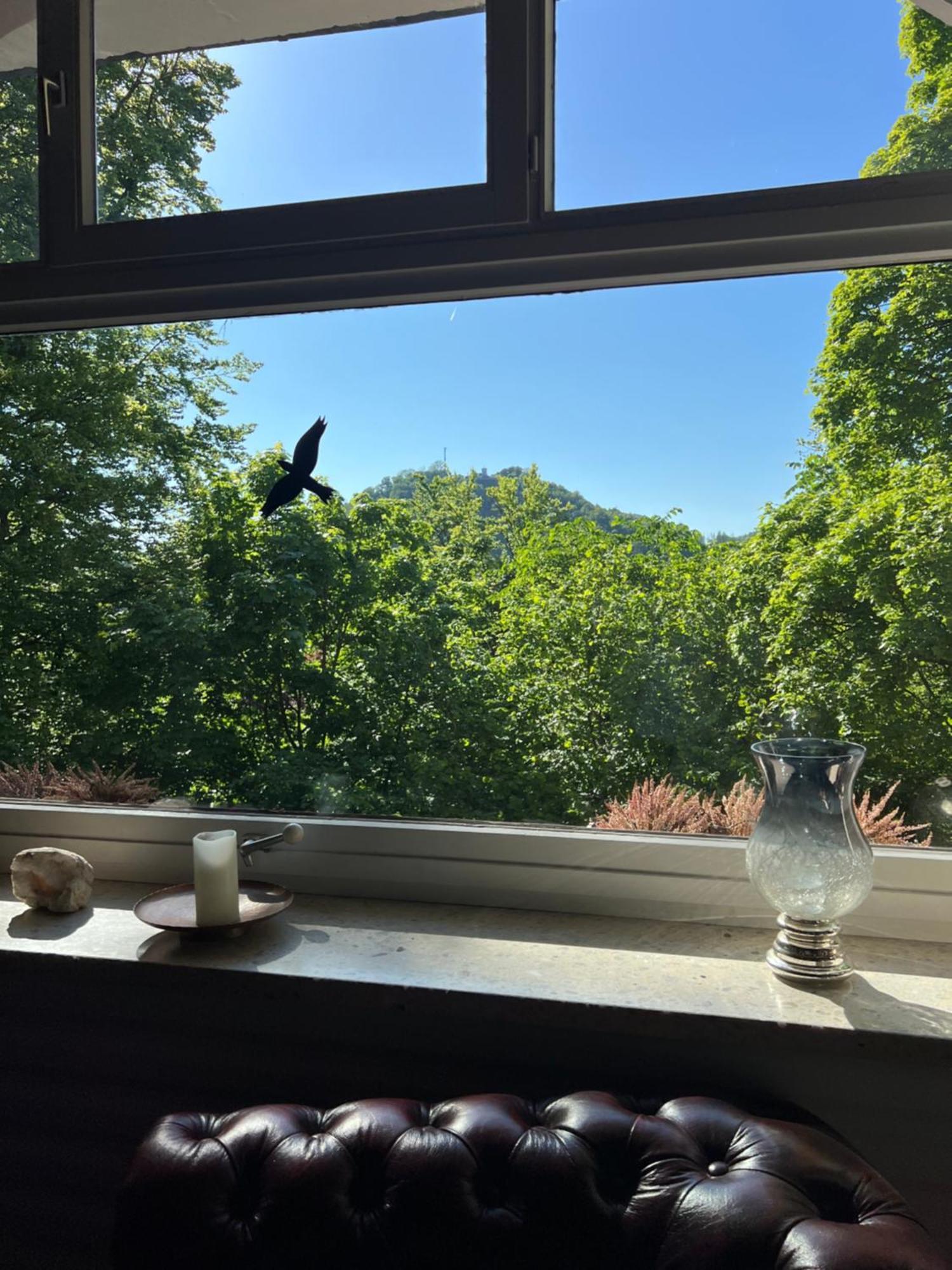 Pension Villa Pangea Bad Lauterberg Luaran gambar