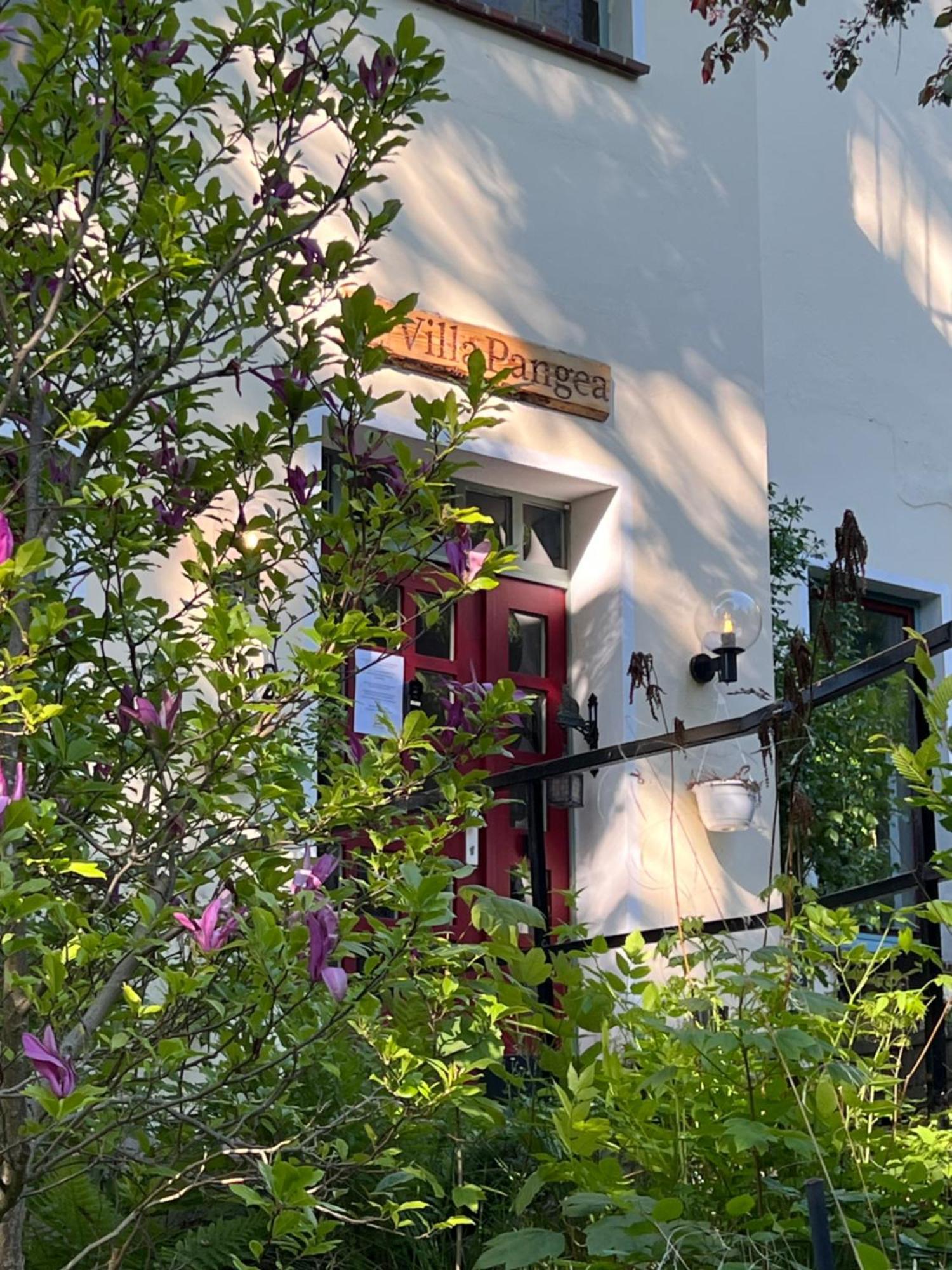 Pension Villa Pangea Bad Lauterberg Luaran gambar